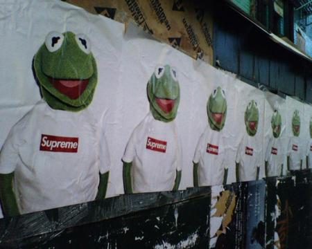 kermit-frog-supreme.jpg